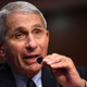 Image for article titled We Ask Dr. Fauci About What He's Planning For The Next Pandemic